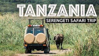 TANZANIA SAFARI  Exploring The Serengeti [upl. by Hbahsur]