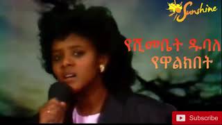 The legend Yeshimebet Double  Yewalkbet የሺመቤት ዱባለ  የዋልክበት [upl. by Asha]