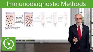 Immunodiagnostic Methods – Immunology  Lecturio [upl. by Atnod]