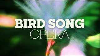 BIRD SONG OPERA [upl. by Town]