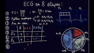 ECG en 8 étapes  Docteur Synapse [upl. by Eduino623]