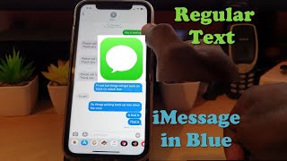 How to Set Up iMessage  Regular Text vs iMessage [upl. by Ylevol948]