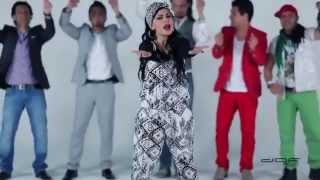 New Afghani song perozzi 2013 HD  Afghanistan [upl. by Seuguh]