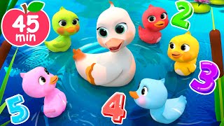 5 Little DucksLearn Colors Song  Newborn Baby Songs amp Nursery Rhymes [upl. by Eilyr699]