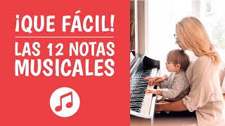 Las 12 NOTAS MUSICALES Explicadas ¡Así de Simple [upl. by Pallaton850]