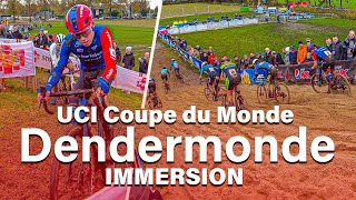 CX  Dendermonde  Immersion [upl. by Rihaz]