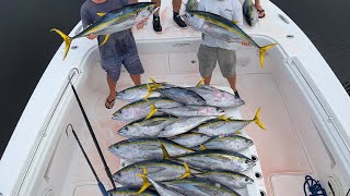 Yellowfin Tuna Slay WE LIMITED OUT Tuna Fishing [upl. by Ninnette447]