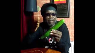 Cucumber Rap Remix Kukumba [upl. by Isborne]