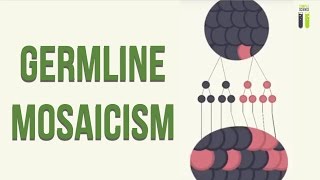 Mosaicisms  Part 1  Germline Mosaicism [upl. by Cowan754]