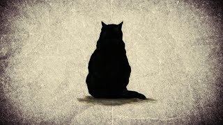 LE CHAT NOIR  Edgar Allan Poe livre audio [upl. by Narmi]