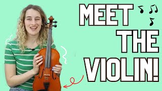 Meet The Violin  Kids Music Lessons [upl. by Wawro492]