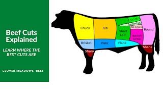 Understanding Beef Cuts [upl. by Simsar507]