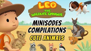 Cute Animals Minisode Compilation  Leo the Wildlife Ranger  Animation  For Kids [upl. by Tegirb]