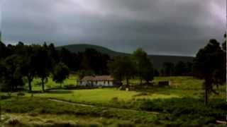 Dolores KeaneDown By The Salley Gardens  Dancing At LughnasaIrish Film Orchestra [upl. by Nahsor]