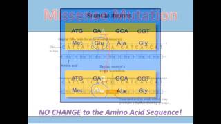 Substitution Mutations [upl. by Ydnor]