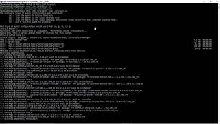 Linux Agent Installation [upl. by Eilhsa]