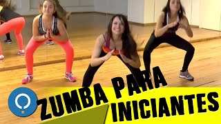 Aula de ZUMBA para INICIANTES [upl. by Ardnuahsal]