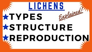 Lichen Crustose Foliose Fruticose  Algae Fungi Symbiosis  Lichens Diagram  Structure Reproduction [upl. by Hoffman]