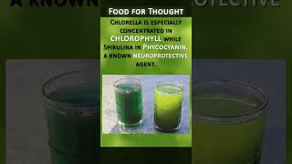 Spirulina VS Chlorella [upl. by Livvyy]