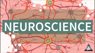 What is Neuroscience [upl. by Oilla]