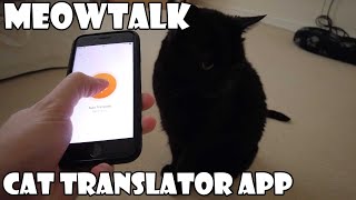 Meow Talk Cat Translator App [upl. by Alleira243]