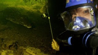 Nile Crocodiles Diving with a deadly predator [upl. by Yerg]