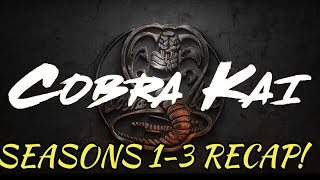 Cobra Kai Seasons 13 Recap [upl. by Yerot268]