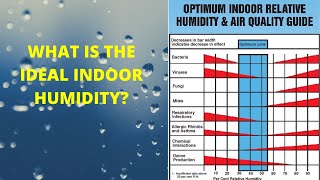 What Is the Ideal Indoor Humidity [upl. by Enirhtak]