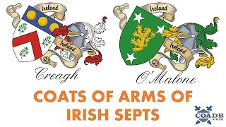 Irish Family Crest Not AngloIrish [upl. by Kiona]