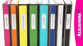 Binder Organization with Better Binders from Staples [upl. by Nolyarg145]