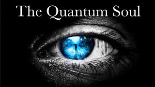 What is CONSCIOUSNESS The Case for the Quantum Soul [upl. by Greenwell]