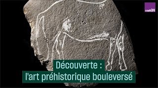 Découverte  lart préhistorique bouleversé  CulturePrime [upl. by Nollad]