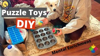 Brain Games for Dogs  DIY Puzzle Toys [upl. by Tegdig29]