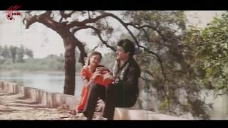 Pellantune Vedekkinde Video Song  Nari Nari Naduma Murari Movie  Balakrishna Shobana Nirosha [upl. by Yeorgi]