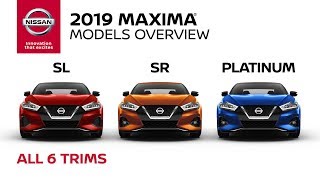 2019 Nissan Maxima Sedan Walkaround amp Review [upl. by Sauder]