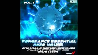 VengeanceSoundcom  Vengeance Essential Deep House Demo [upl. by Namlas325]