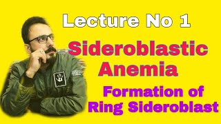 Sideroblastic Anemia Lecture 1 [upl. by Yssim296]