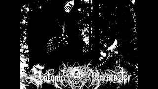 Satanic Warmaster  Carelian Satanist Madness  2005 Full Album [upl. by Attaymik]