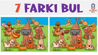 7 FARKI BUL [upl. by Nivak]