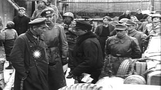 Generals discuss during 11th German Panzer Division surrender to Allied Forces inHD Stock Footage [upl. by Alfonso]