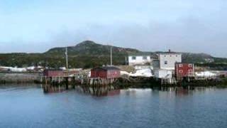 newfoundland video [upl. by Irodim986]