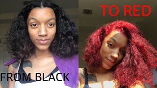 HOW TO DYE HAIR RED NO BLEACH  LOREAL HICOLOR HIGHLIGHTS [upl. by Zanze674]