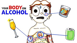 How Alcohol Changes Your Body [upl. by Petrick]