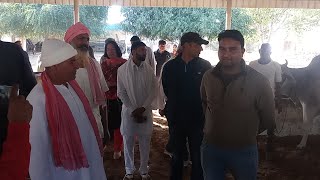 Khandwa Mandir Jhunjhunu Rajasthan [upl. by Weir792]