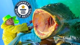 NEW Worlds LARGEST FISH  Can You Catch It [upl. by Price]