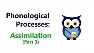 Phonological Processes Assimilation Part 3 [upl. by Mcnamara615]