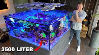 GERMAN REEF TANKS  massive saltwater aquarium 920 gallon private tour [upl. by Anileve]