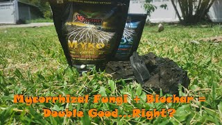 Ep1 Mycorrhizal Fungi  Biochar  Double GoodRight [upl. by Naujtna]