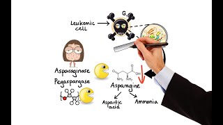 Pharmacology  CANCER DRUGS  HORMONAL THERAPY MADE EASY [upl. by Pearman]