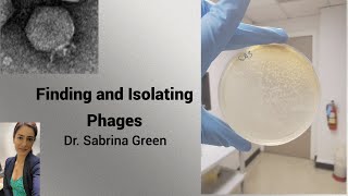 Finding and Isolating Phages [upl. by Matazzoni]